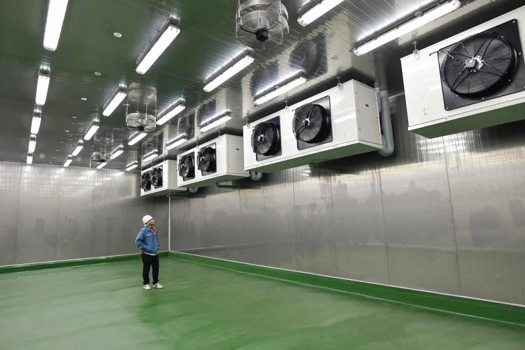 Young Ocean refrigeration warehouse remodeling